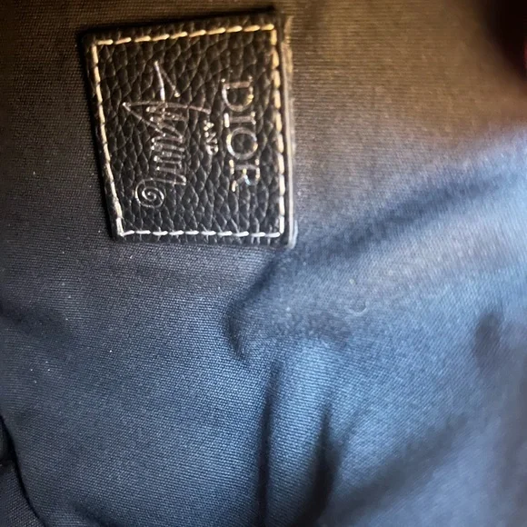 CHRISTIAN DIOR X SHAWN STUSSY Grained Calfskin Bee Saddle Bag Black - Picture 8 of 13